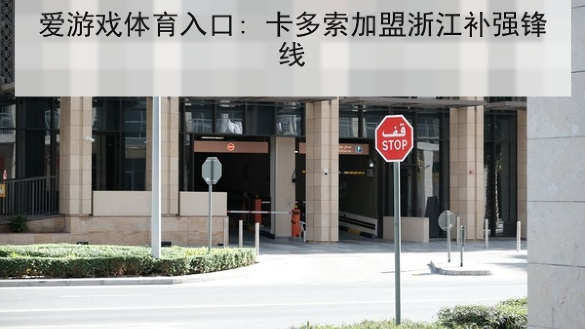 爱游戏体育入口: 卡多索加盟浙江补强锋线 爱游戏体育入口: 卡多索加盟浙江补强锋线